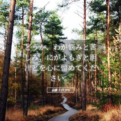 Picture 05 - 哀歌 3:19 JPN - どうか、わが悩みと苦しみ、にがよ - Bible Verse Picture