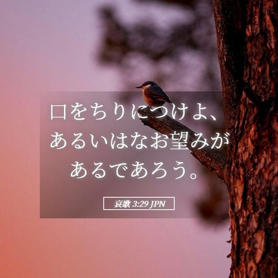 Picture 05 - 哀歌 3:29 JPN - 口をちりにつけよ、あるいはなお望 - Bible Verse Picture