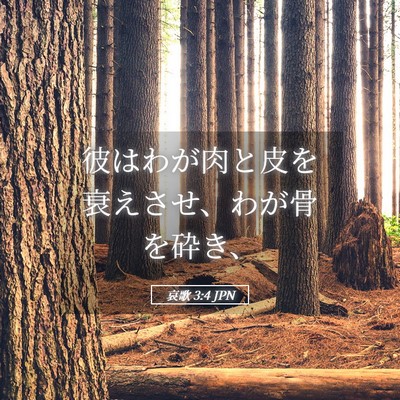 Picture 05 - 哀歌 3:4 JPN - 彼はわが肉と皮を衰えさせ、わが骨 - Bible Verse Picture