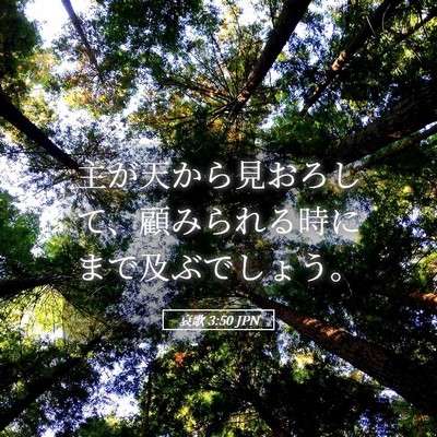 Picture 05 - 哀歌 3:50 JPN - 主が天から見おろして、顧みられる - Bible Verse Picture