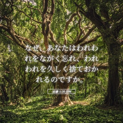 Picture 05 - 哀歌 5:20 JPN - なぜ、あなたはわれわれをながく忘 - Bible Verse Picture