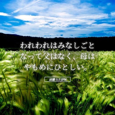 Picture 05 - 哀歌 5:3 JPN - われわれはみなしごとなって父はな - Bible Verse Picture