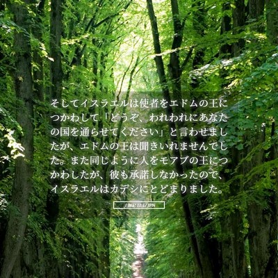 Picture 05 - 士師記 11:17 JPN - そしてイスラエルは使者をエドムの - Bible Verse Picture