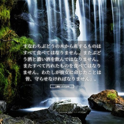 Picture 05 - 士師記 13:14 JPN - すなわちぶどうの木から産するもの - Bible Verse Picture