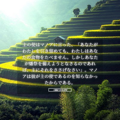 Picture 05 - 士師記 13:16 JPN - 主の使はマノアに言った、「あなた - Bible Verse Picture
