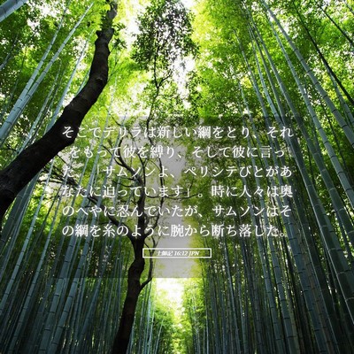 Picture 05 - 士師記 16:12 JPN - そこでデリラは新しい綱をとり、そ - Bible Verse Picture