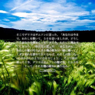 Picture 05 - 士師記 16:13 JPN - そこでデリラはサムソンに言った、 - Bible Verse Picture