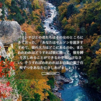 Picture 05 - 士師記 16:5 JPN - ペリシテびとの君たちはその女のと - Bible Verse Picture