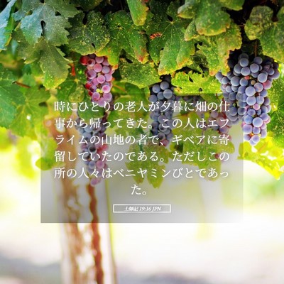Picture 05 - 士師記 19:16 JPN - 時にひとりの老人が夕暮に畑の仕事 - Bible Verse Picture