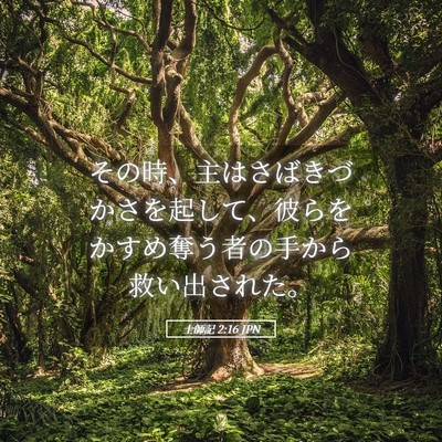 Picture 05 - 士師記 2:16 JPN - その時、主はさばきづかさを起して - Bible Verse Picture
