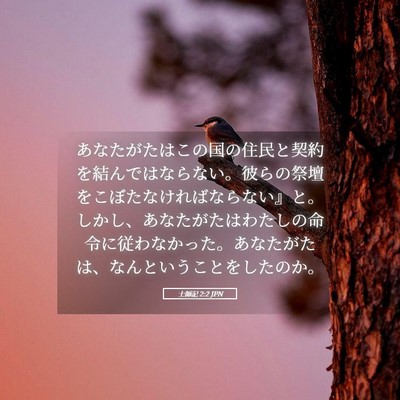 Picture 05 - 士師記 2:2 JPN - あなたがたはこの国の住民と契約を - Bible Verse Picture