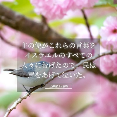 Picture 05 - 士師記 2:4 JPN - 主の使がこれらの言葉をイスラエル - Bible Verse Picture
