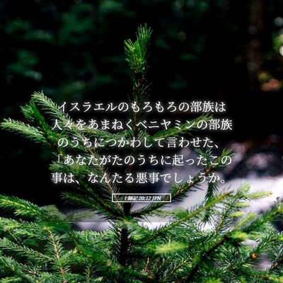 Picture 05 - 士師記 20:12 JPN - イスラエルのもろもろの部族は人々 - Bible Verse Picture