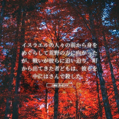 Picture 05 - 士師記 20:42 JPN - イスラエルの人々の前から身をめぐ - Bible Verse Picture