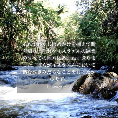 Picture 05 - 士師記 20:6 JPN - それでわたしはめかけを捕えて断ち - Bible Verse Picture