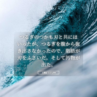 Picture 05 - 士師記 3:22 JPN - つるぎのつかも刃と共にはいったが - Bible Verse Picture