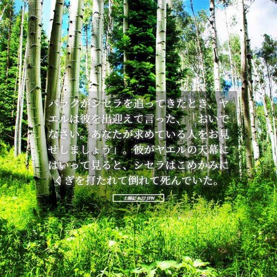 Picture 05 - 士師記 4:22 JPN - バラクがシセラを追ってきたとき、 - Bible Verse Picture
