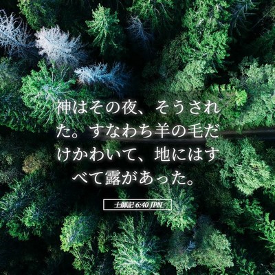 Picture 05 - 士師記 6:40 JPN - 神はその夜、そうされた。すなわち - Bible Verse Picture