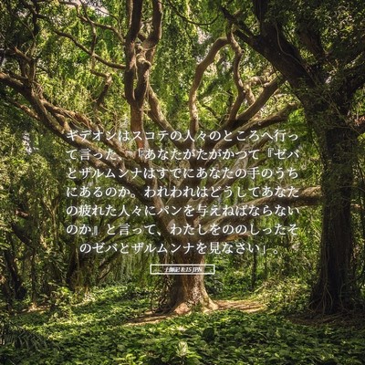 Picture 05 - 士師記 8:15 JPN - ギデオンはスコテの人々のところへ - Bible Verse Picture