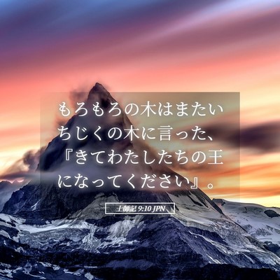 Picture 05 - 士師記 9:10 JPN - もろもろの木はまたいちじくの木に - Bible Verse Picture
