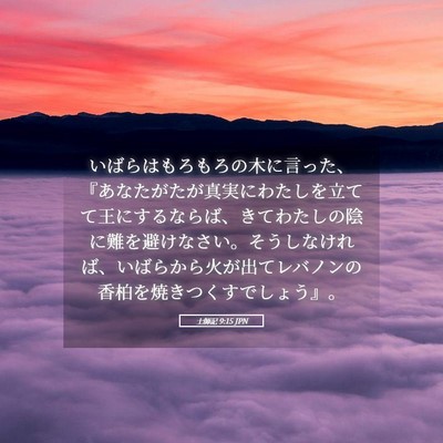 Picture 05 - 士師記 9:15 JPN - いばらはもろもろの木に言った、『 - Bible Verse Picture