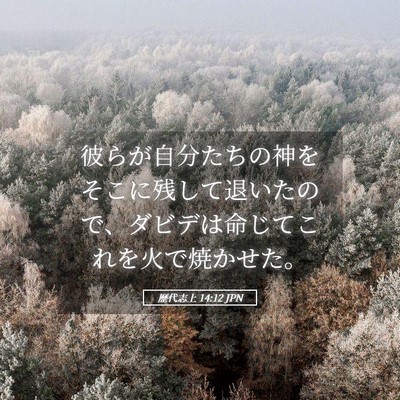 Picture 05 - 歴代志上 14:12 JPN - 彼らが自分たちの神をそこに残して - Bible Verse Picture