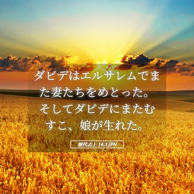 Picture 05 - 歴代志上 14:3 JPN - ダビデはエルサレムでまた妻たちを - Bible Verse Picture