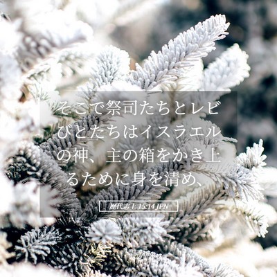 Picture 05 - 歴代志上 15:14 JPN - そこで祭司たちとレビびとたちはイ - Bible Verse Picture