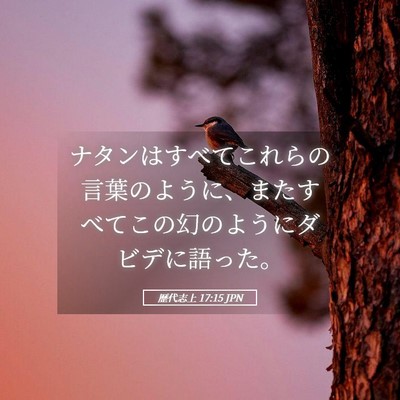 Picture 05 - 歴代志上 17:15 JPN - ナタンはすべてこれらの言葉のよう - Bible Verse Picture