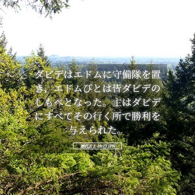 Picture 05 - 歴代志上 18:13 JPN - ダビデはエドムに守備隊を置き、エ - Bible Verse Picture