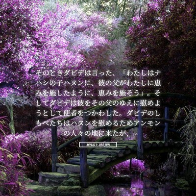 Picture 05 - 歴代志上 19:2 JPN - そのときダビデは言った、「わたし - Bible Verse Picture
