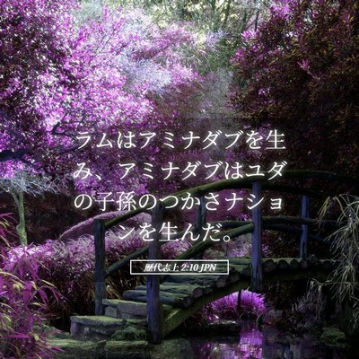 Picture 05 - 歴代志上 2:10 JPN - ラムはアミナダブを生み、アミナダ - Bible Verse Picture