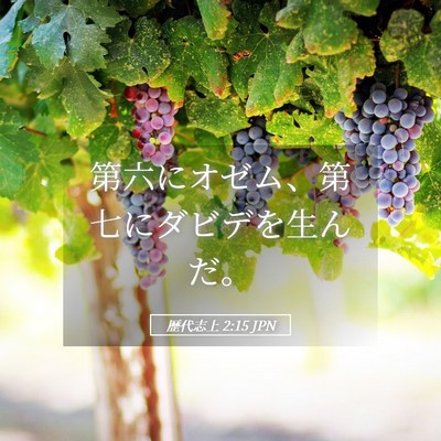 Picture 05 - 歴代志上 2:15 JPN - 第六にオゼム、第七にダビデを生ん - Bible Verse Picture