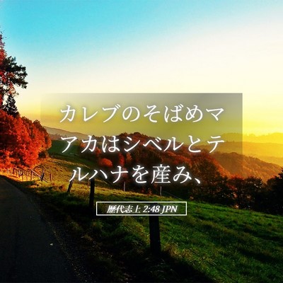 Picture 05 - 歴代志上 2:48 JPN - カレブのそばめマアカはシベルとテ - Bible Verse Picture