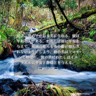 Picture 05 - 歴代志上 22:9 JPN - 見よ、男の子がおまえに生れる。彼 - Bible Verse Picture