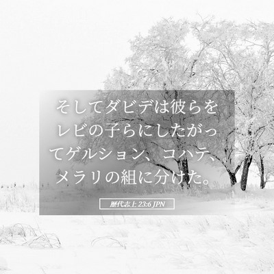 Picture 05 - 歴代志上 23:6 JPN - そしてダビデは彼らをレビの子らに - Bible Verse Picture