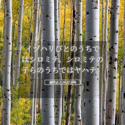 Picture 05 - 歴代志上 24:22 JPN - イヅハリびとのうちではシロミテ。 - Bible Verse Picture
