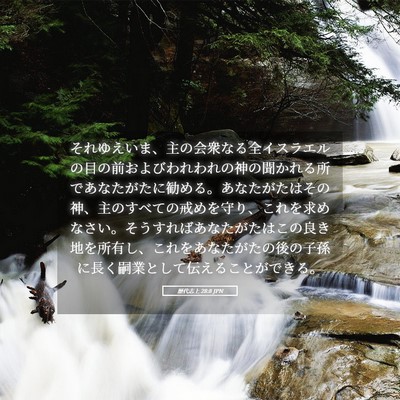 Picture 05 - 歴代志上 28:8 JPN - それゆえいま、主の会衆なる全イス - Bible Verse Picture