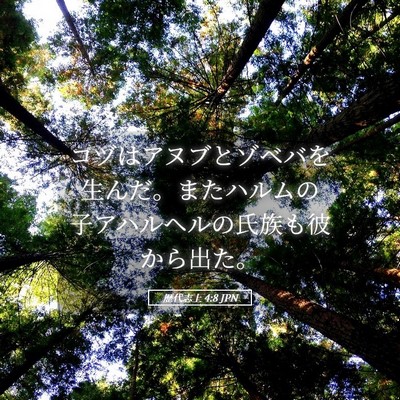 Picture 05 - 歴代志上 4:8 JPN - コヅはアヌブとゾベバを生んだ。ま - Bible Verse Picture
