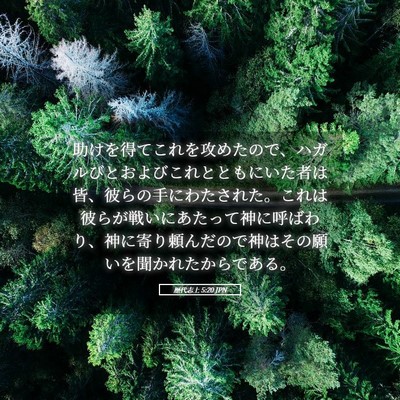Picture 05 - 歴代志上 5:20 JPN - 助けを得てこれを攻めたので、ハガ - Bible Verse Picture