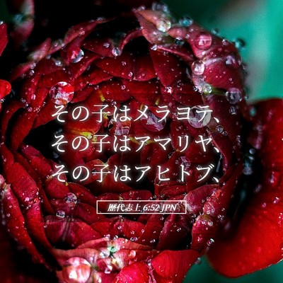 Picture 05 - 歴代志上 6:52 JPN - その子はメラヨテ、その子はアマリ - Bible Verse Picture