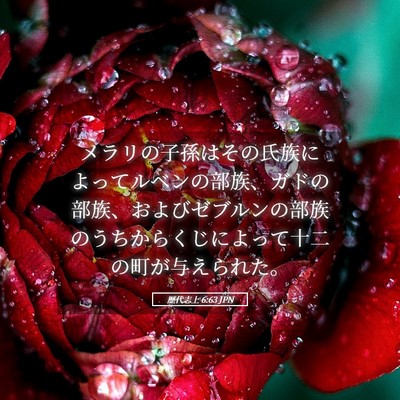 Picture 05 - 歴代志上 6:63 JPN - メラリの子孫はその氏族によってル - Bible Verse Picture