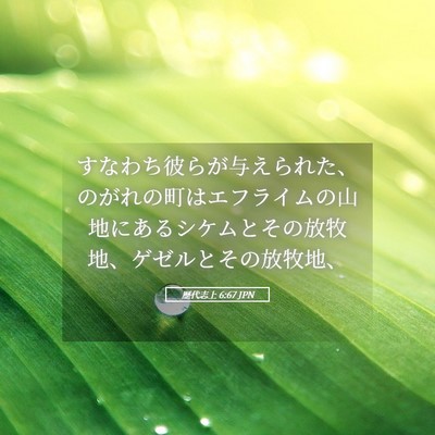 Picture 05 - 歴代志上 6:67 JPN - すなわち彼らが与えられた、のがれ - Bible Verse Picture