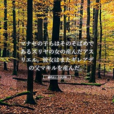 Picture 05 - 歴代志上 7:14 JPN - マナセの子らはそのそばめであるス - Bible Verse Picture