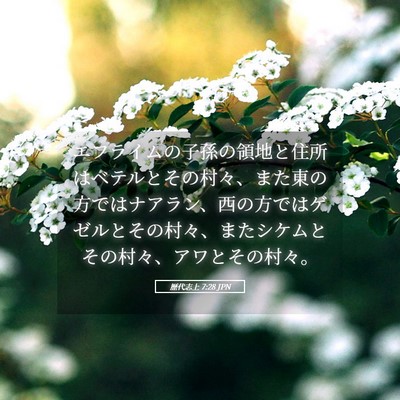 Picture 05 - 歴代志上 7:28 JPN - エフライムの子孫の領地と住所はベ - Bible Verse Picture