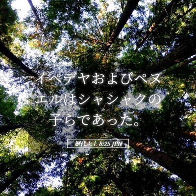 Picture 05 - 歴代志上 8:25 JPN - イペデヤおよびペヌエルはシャシャ - Bible Verse Picture