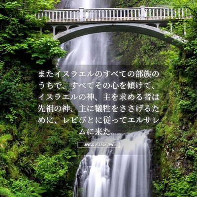 Picture 05 - 歴代志下 11:16 JPN - またイスラエルのすべての部族のう - Bible Verse Picture