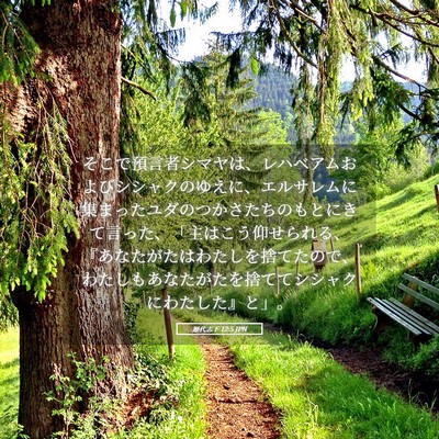 Picture 05 - 歴代志下 12:5 JPN - そこで預言者シマヤは、レハベアム - Bible Verse Picture