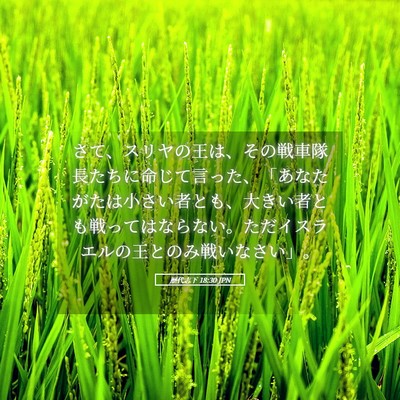 Picture 05 - 歴代志下 18:30 JPN - さて、スリヤの王は、その戦車隊長 - Bible Verse Picture