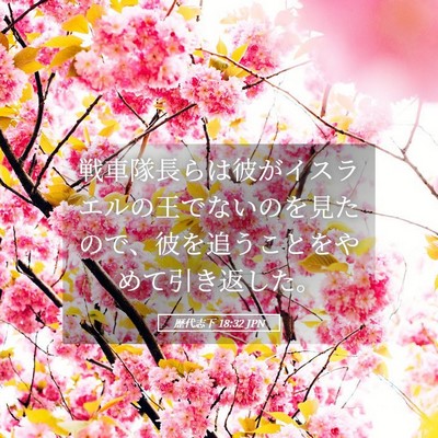 Picture 05 - 歴代志下 18:32 JPN - 戦車隊長らは彼がイスラエルの王で - Bible Verse Picture